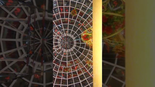 Композитор Семён Рабаев " Музыкальная Шкатулка " © смотреть онлайн