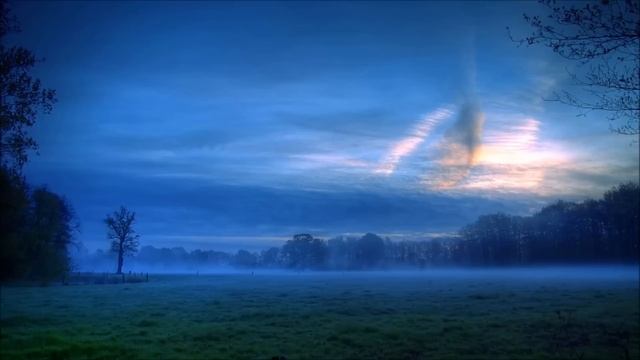 Carbon Based Lifeforms - Arecibo смотреть онлайн