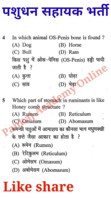 pashudhan shayak exam model paper | pashudhan shayak exam question bank | LSA veterinary anatomy MC смотреть онлайн