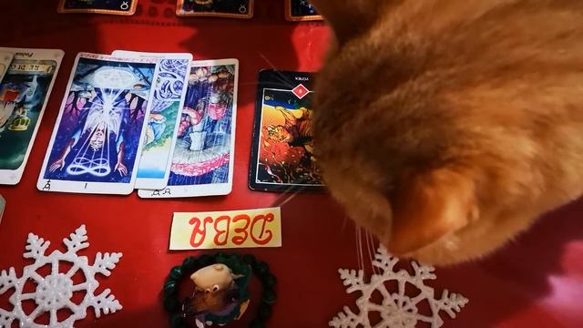 ДЕВА ♍. 11-20 ДЕКАБРЯ. "Ты💕 знаешь: все В ТВОИХ 🌹РУКАХ"!!! Солнечное затмение. М* А* К смотреть онлайн