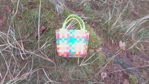 Лес Телеши вблизи Гнездово. Смоленск.