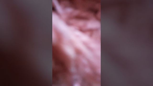 25 мая 2021 г. смотреть онлайн