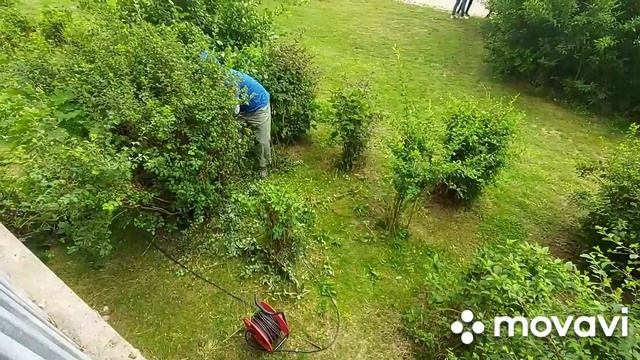 Мой папа косит траву///Гюстров Германия 🇩🇪 смотреть онлайн