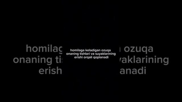 НМА УЧУН ОНАЛАРИМИЗНИ ОЙОК,ЛАРИ ОГ'РИЙДИ БИЛАСИЗМИ 😭😰11 сентября 2023 г. смотреть онлайн