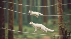 Мюзикл Рутуб. Горностай аудиокнига