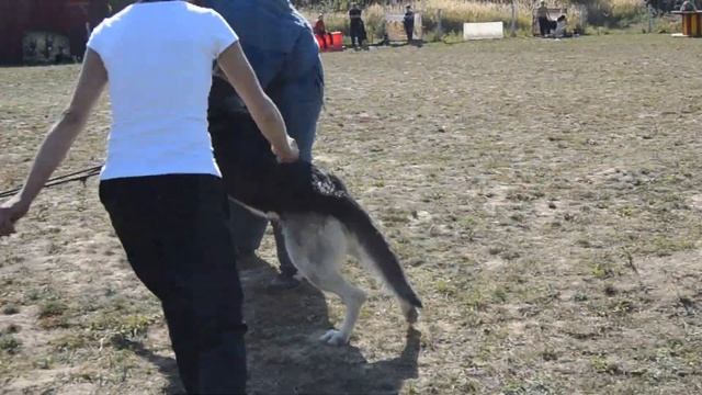 ВЕО Марс смотреть онлайн