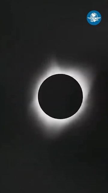 Eclipse de sol Mexico y EE.UU #parati #funny #humor #funnyhumor #comedy #eclipse #fyp #video #vira смотреть онлайн