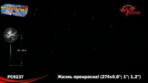 РС9237