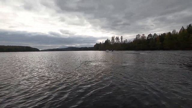 Vator 15 GL with mercury 115 holeshot смотреть онлайн