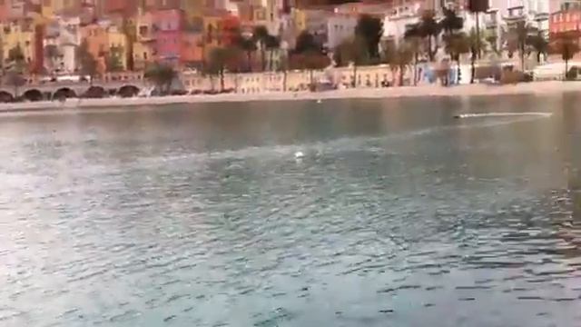 Triton vintage rc boat brushless смотреть онлайн