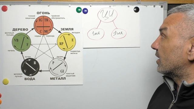 Теория ИНЬ и ЯНЬ смотреть онлайн