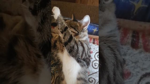 Полное затмение смотреть онлайн