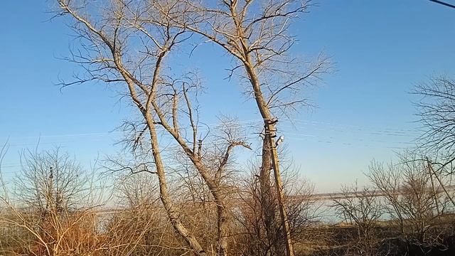 VID_20250110_093553