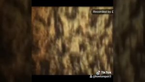 Что будет если комета упадет на землю?