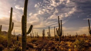 Вестерн.Однажды в Мексике