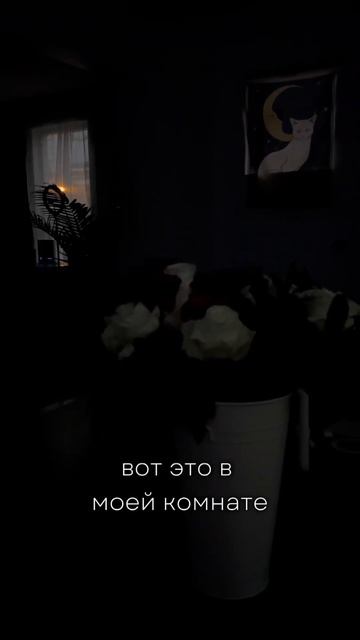 Затмение 2024 смотреть онлайн