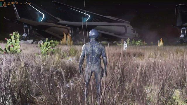 Squadron 42 - Star Citizen | This is how you kill a sever 4K RTX 2080 Ti XC ULTRA смотреть онлайн