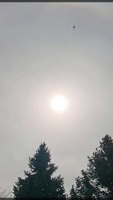 🤔✈️Who else seen 👀this during the fake Eclipse on April 8th 2024? 🤷 I can't find the wordslp смотреть онлайн