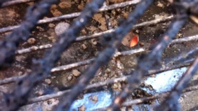 Webber Smokey Joe Silver Review смотреть онлайн