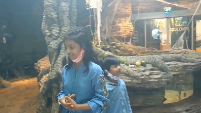 The Green Planet (Dubai) - Exploration by KidsJunction SweetFamily смотреть онлайн