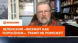 Зеленский «визжит как поросенок». Трамп не поможет: у него другая стратегия