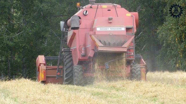 Massey Ferguson 23 (Sampo) combine harvester in work смотреть онлайн