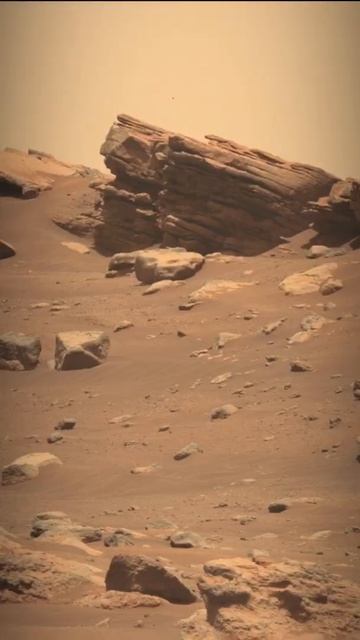 Mars Perseverance Sol 202 shorts