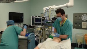 Can't Intubate Can't Oxygenate. Simulation