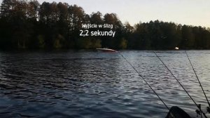 Rinker Captiva 236 CC 500KM Bravo