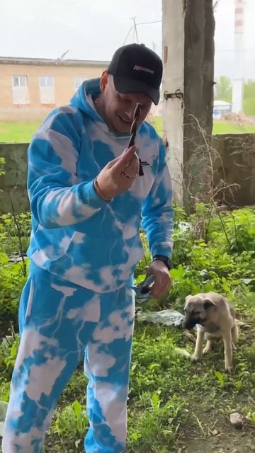 ЛегкаЯ ЖизнЬ НичемУ не УчиТ. 8-ой ГоД РядоМ с БездомнымИ 10.05.2024. смотреть онлайн