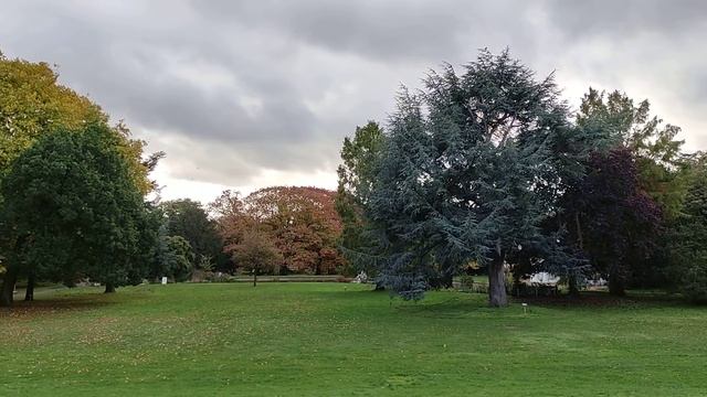 О солнечном затмении, 25 октября... смотреть онлайн