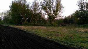 Донг Фенг с плугом