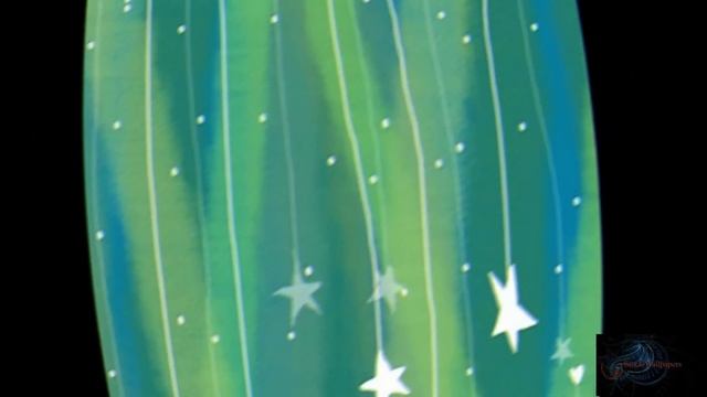 BellPhone BP326 Stock Wallpapers смотреть онлайн