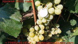 Бурлингтон