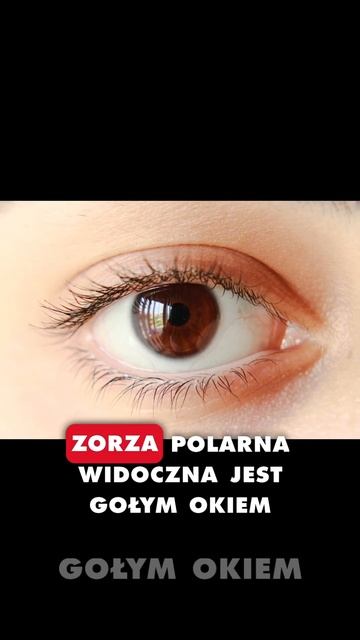 NAJSILNIEJSZA OD PRAWIE 20 LAT BURZA SŁONECZNA, ZORZA MOŻE BYĆ WIDOCZNA W PRAWIE CAŁYM KRAJU☀️🌌 смотреть онлайн