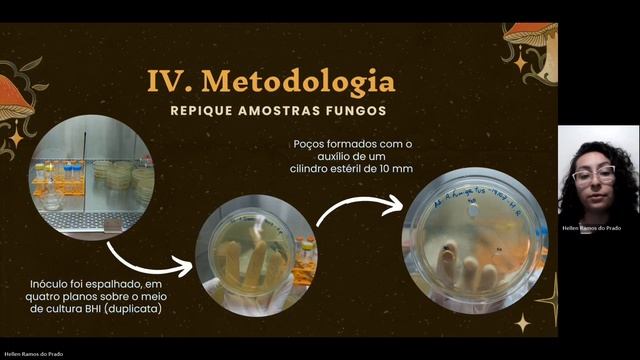 efeito macrocybe titans sobre fungos filamentosos смотреть онлайн