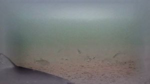 РК Раскаты 2025.01.27 6