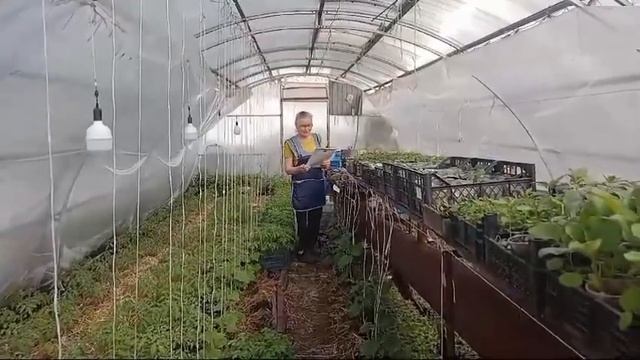 Предпраздничный день смотреть онлайн