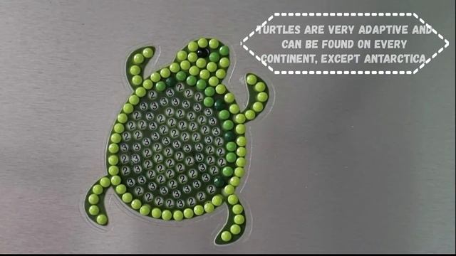 5 amazing facts about turtles. Diamond mosaic sticker
