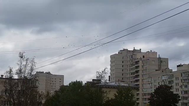 Конец Света в Санкт-Петербурге смотреть онлайн