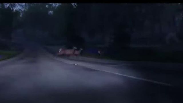 Forza horizon 4 / WhatsApp status / .... смотреть онлайн