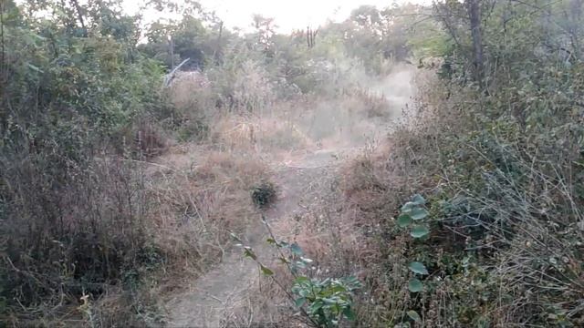 Космос мини RAW смотреть онлайн