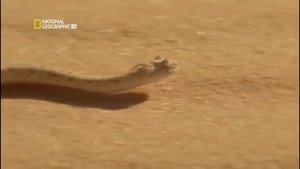 Гибель Земли National Geographic HD