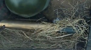 Моя родимая земля