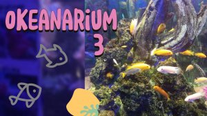 Океанариум: Встреча с подводными чудесами 🐟🐠