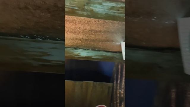 Обзор теплицы-птичника смотреть онлайн