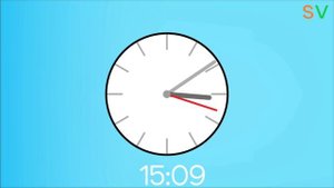 svблок 31.12.2024