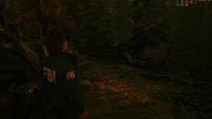 Alan Wake II (rx 6600 xt,  i5 12400, 4k)