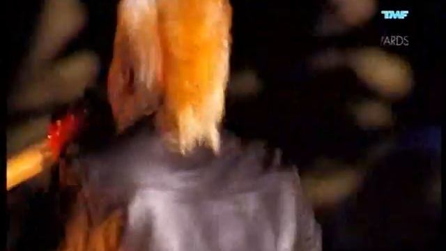 30 Seconds To Mars-Closer to the edge Live @ TMF Awards The Netherlands June 2010 смотреть онлайн