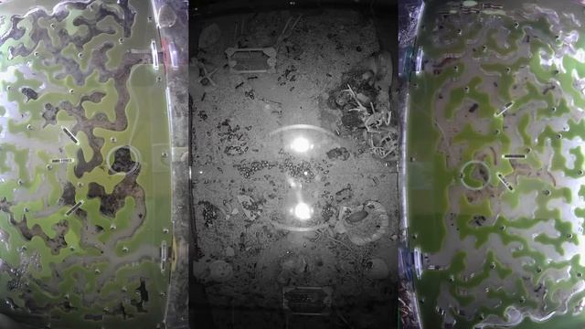 [LIVE x1] Ant farm 24/7 Муравьиная ферма [online/онлайн] Муравьи Ants [LIVE x1] смотреть онлайн